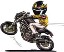 Ducati Monster