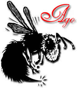 L'ago