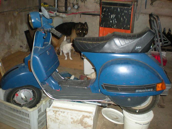 Copriventola In Acciaio Cromato Stile Anni 60 Per VESPA 80 125 150 200 Px Pe Con Avviamento Elettrico.1.25.1146.gp.14011 - Foto 5