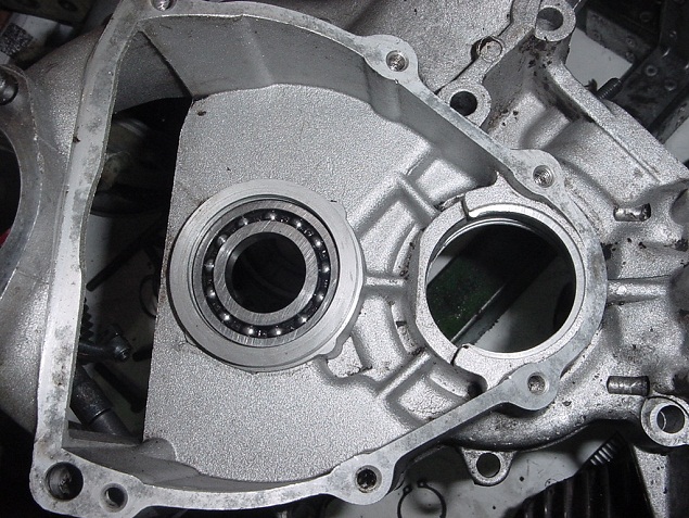 2011113141410_9.JPG
