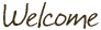 Welcome